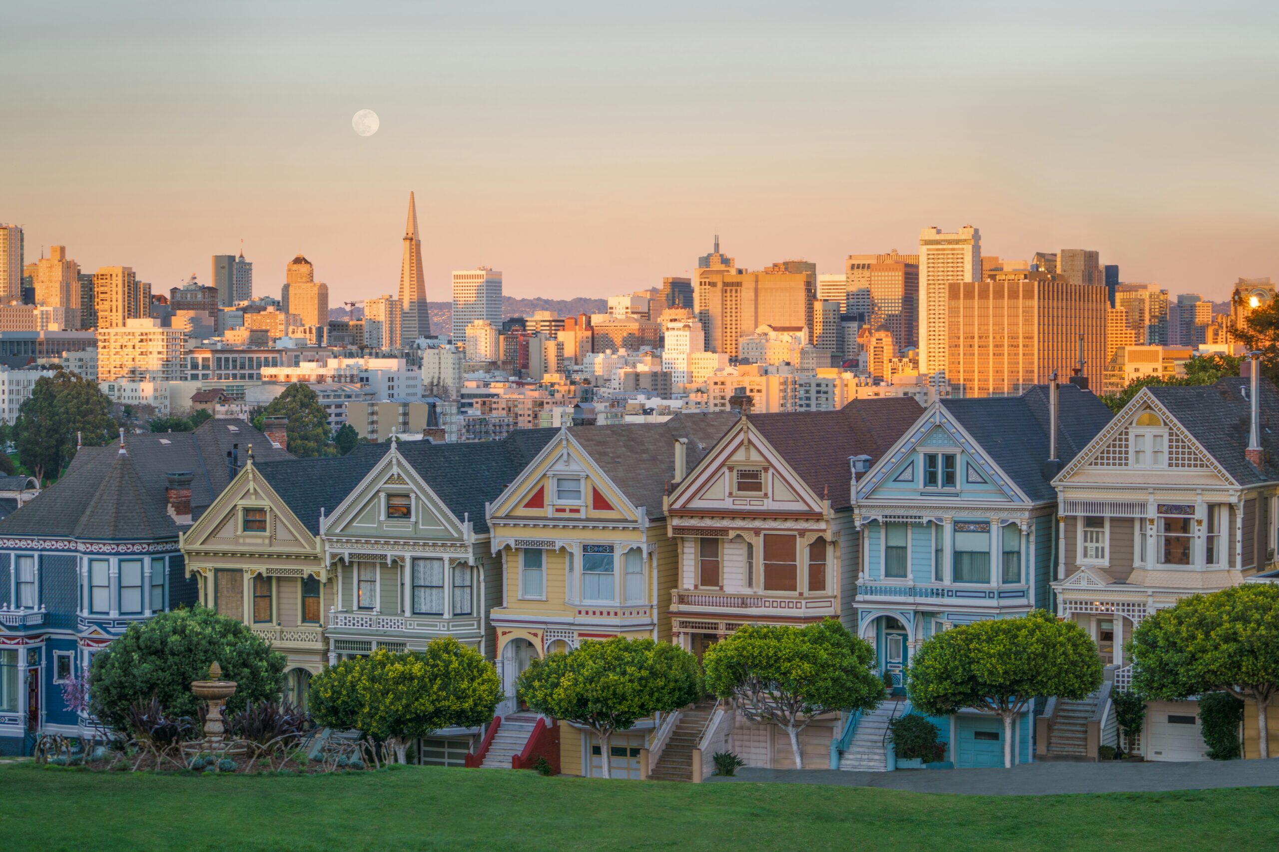 houses and skyline in San Francisco.